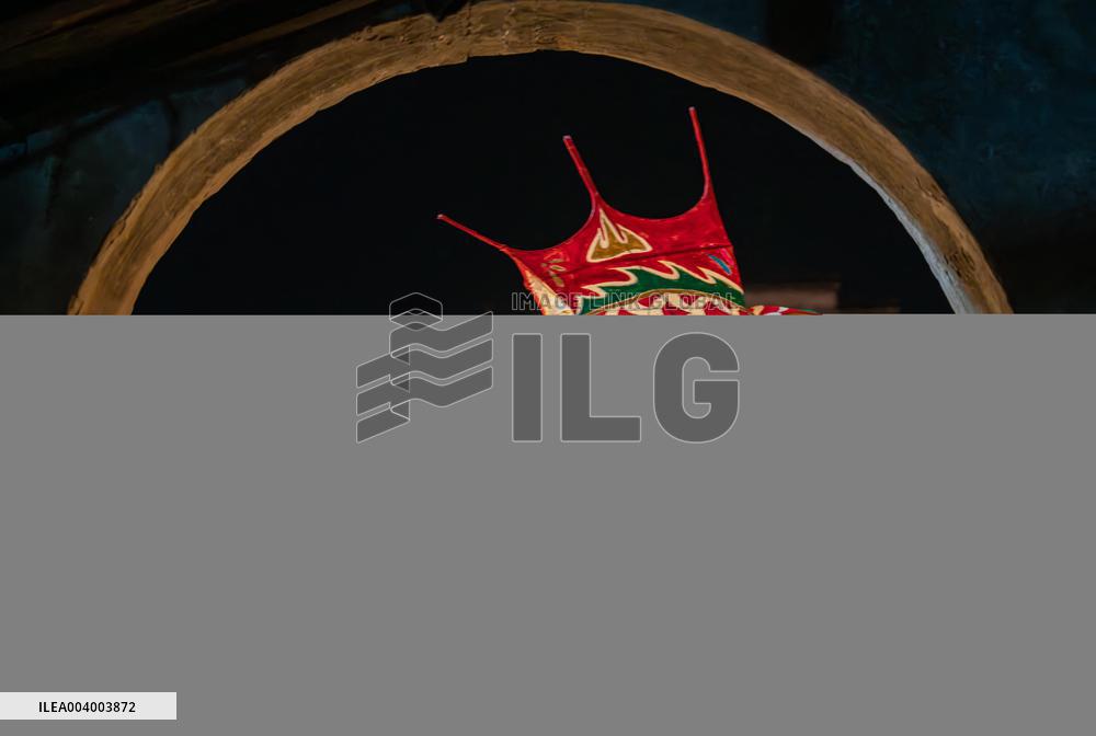 Fish-Shaped Lantern Performance - China