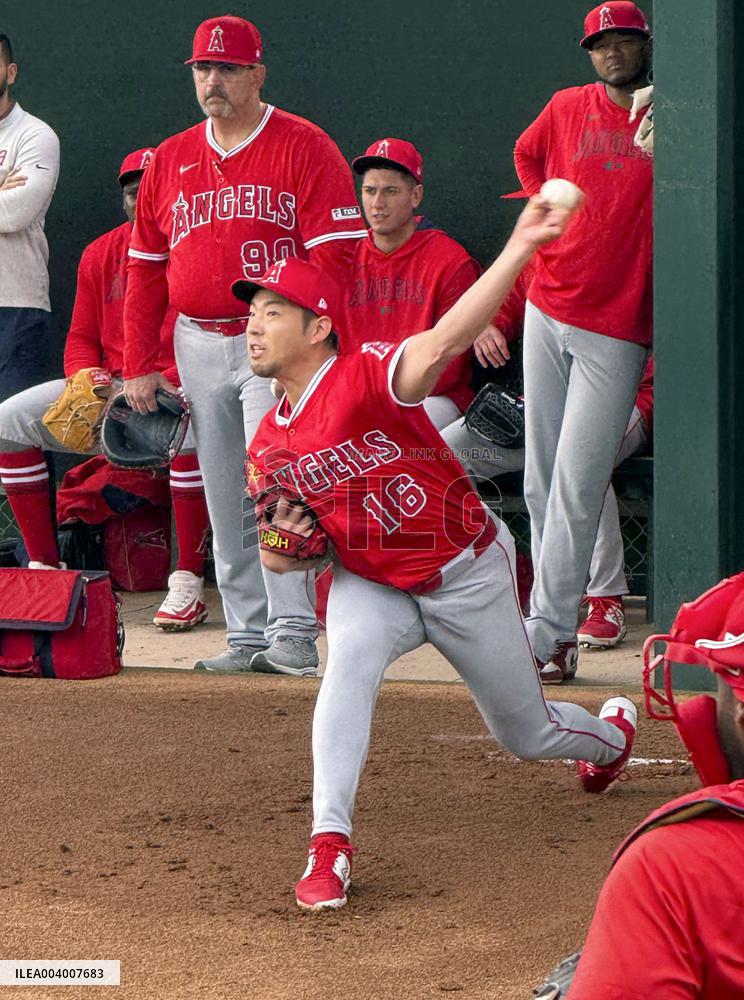 Baseball: MLB spring training