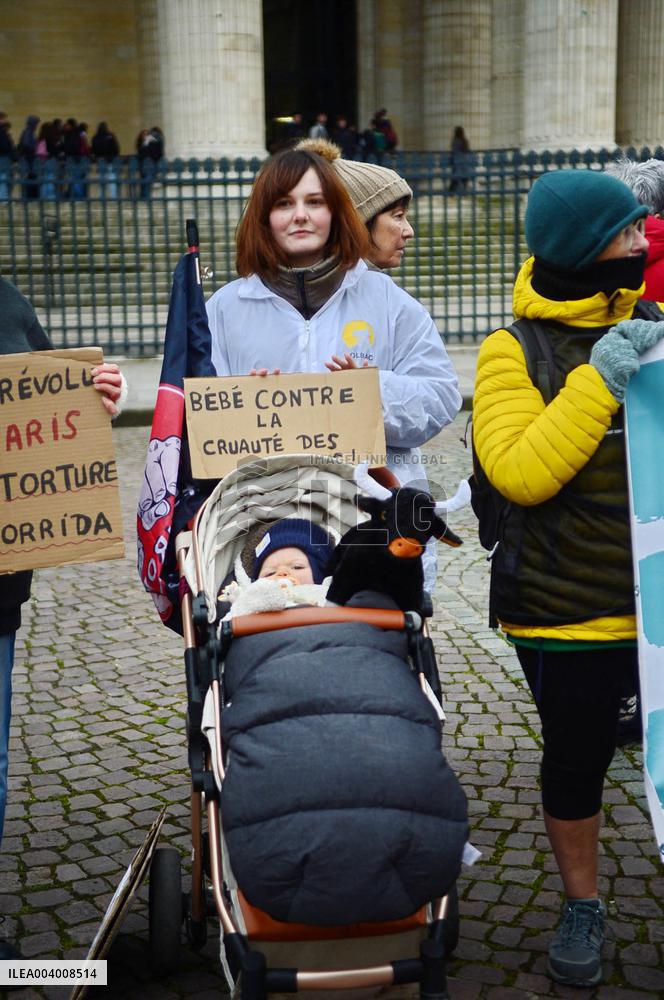 Rally Against Proselytism & Bullfighting Cruelty in Paris