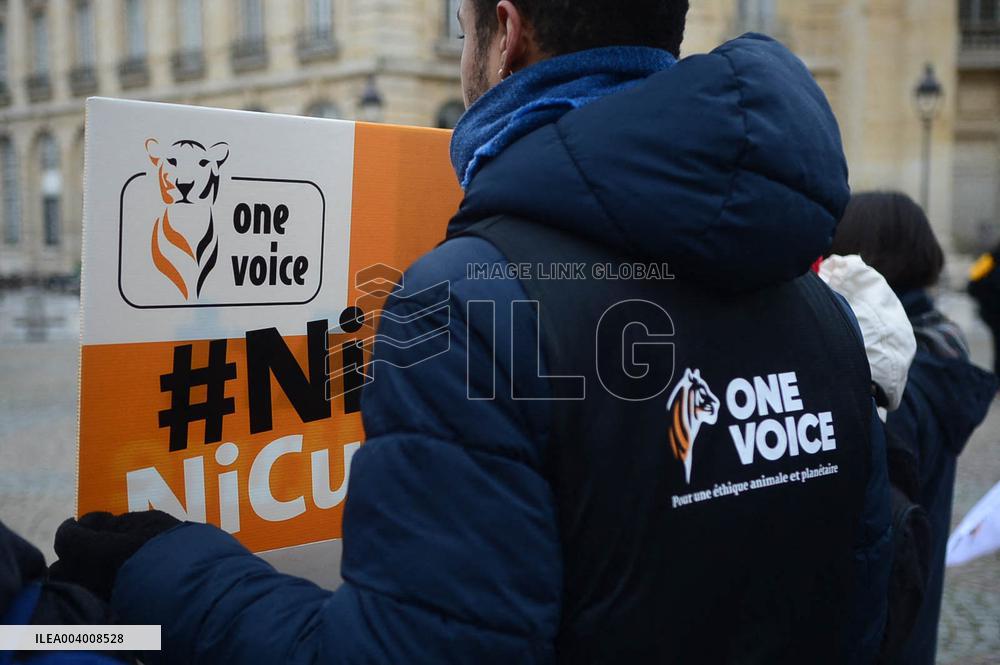 Rally Against Proselytism & Bullfighting Cruelty in Paris