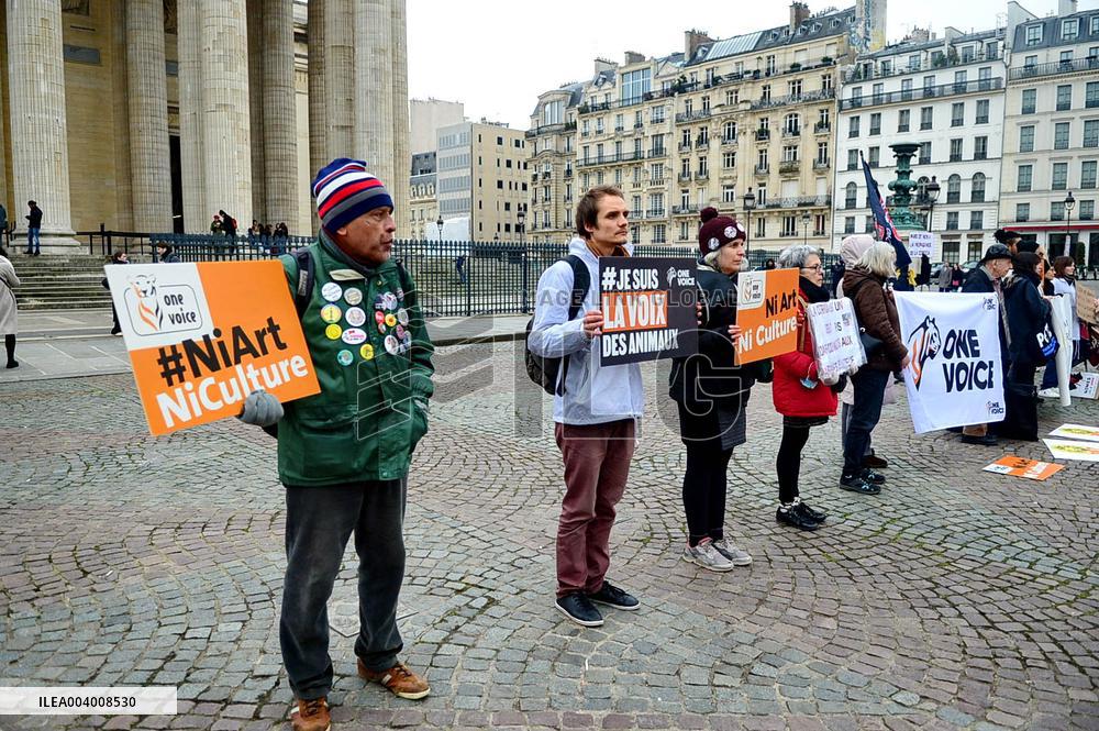 Rally Against Proselytism & Bullfighting Cruelty in Paris