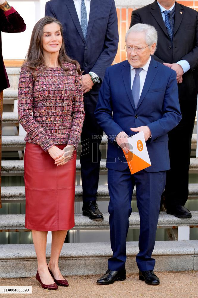 Queen Letizia Holds an Audience - Madrid