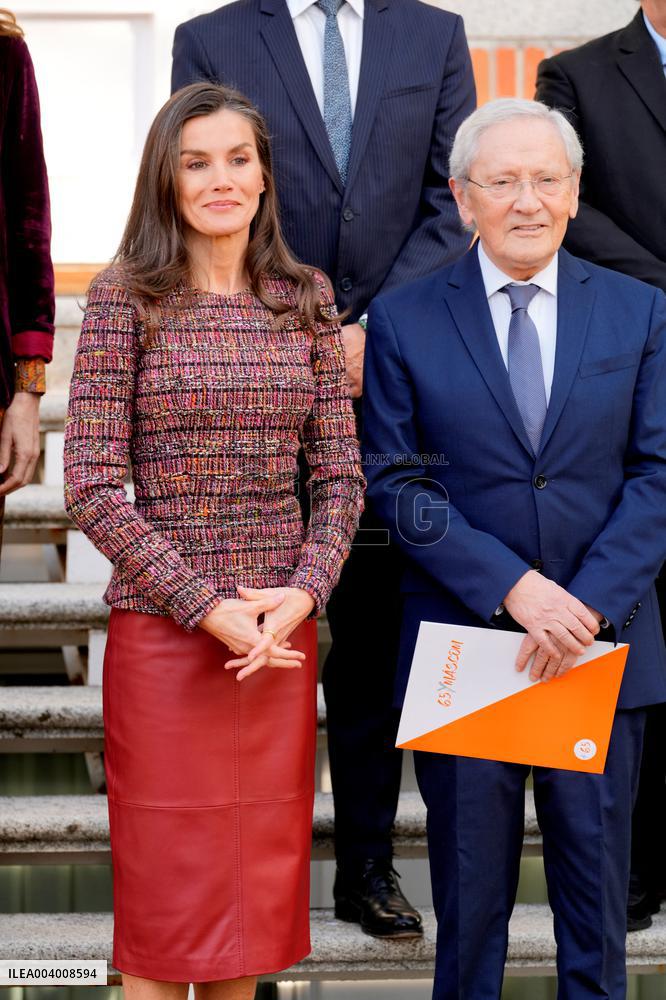 Queen Letizia Holds an Audience - Madrid