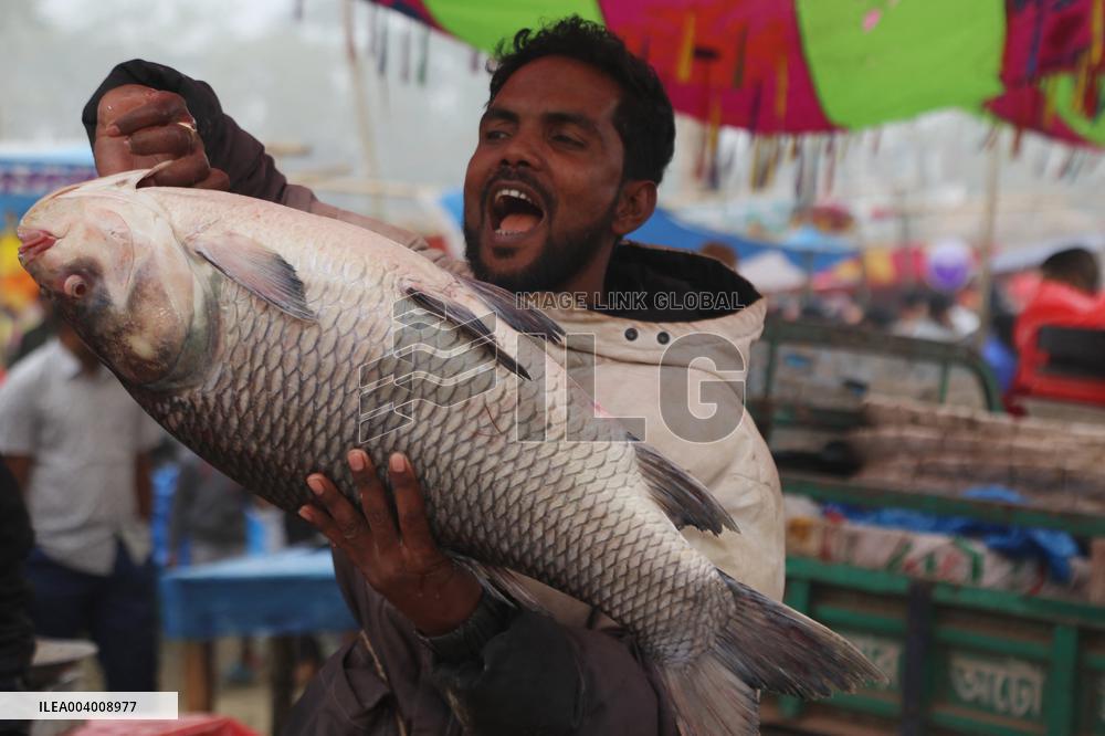 Bogura Fish Fair - Bangladesh