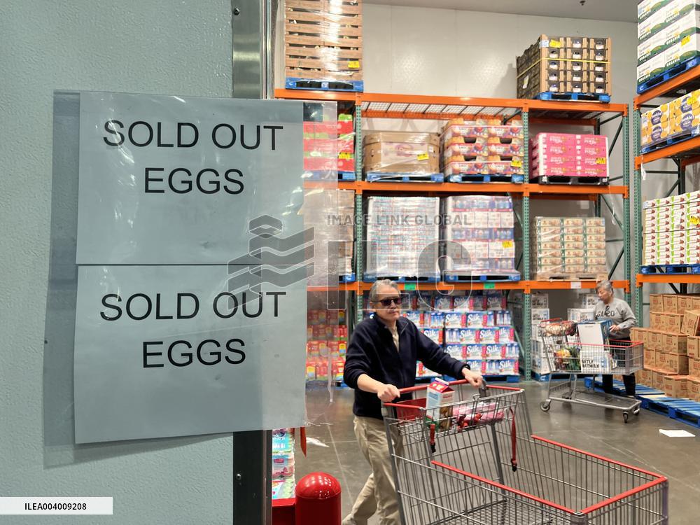 Avian Flu Causes Egg Shortage in The U.S. - LA