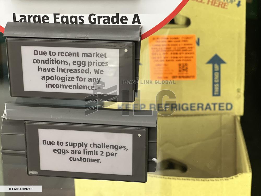 Avian Flu Causes Egg Shortage in The U.S. - LA