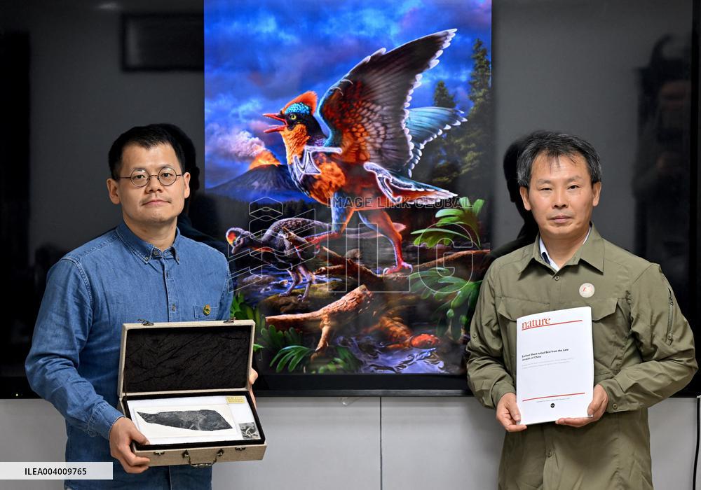 The Oldest Short-Tailed Bird Fossil Discovered - China