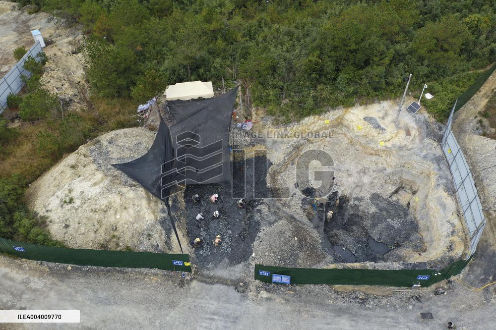 The Oldest Short-Tailed Bird Fossil Discovered - China