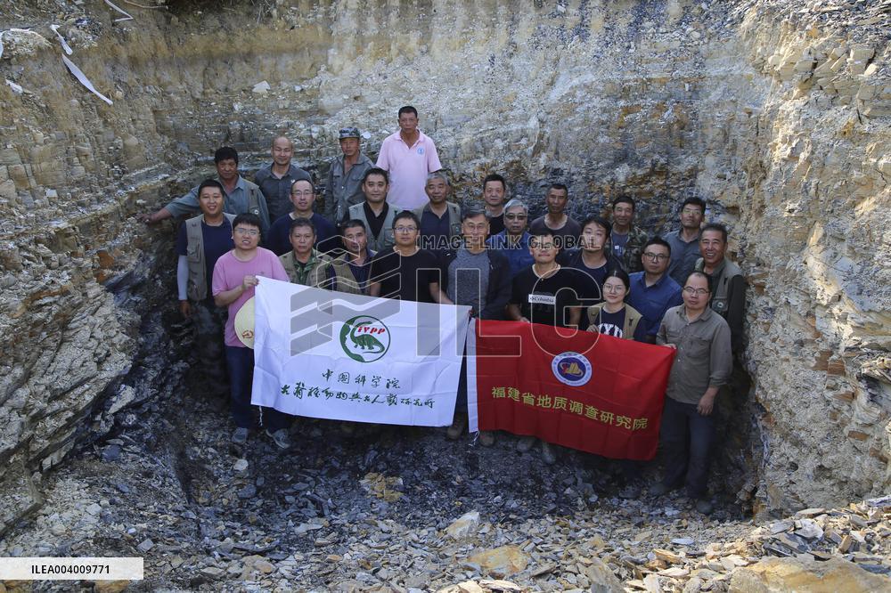 The Oldest Short-Tailed Bird Fossil Discovered - China