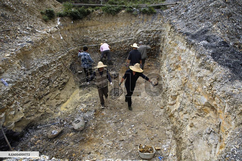 The Oldest Short-Tailed Bird Fossil Discovered - China