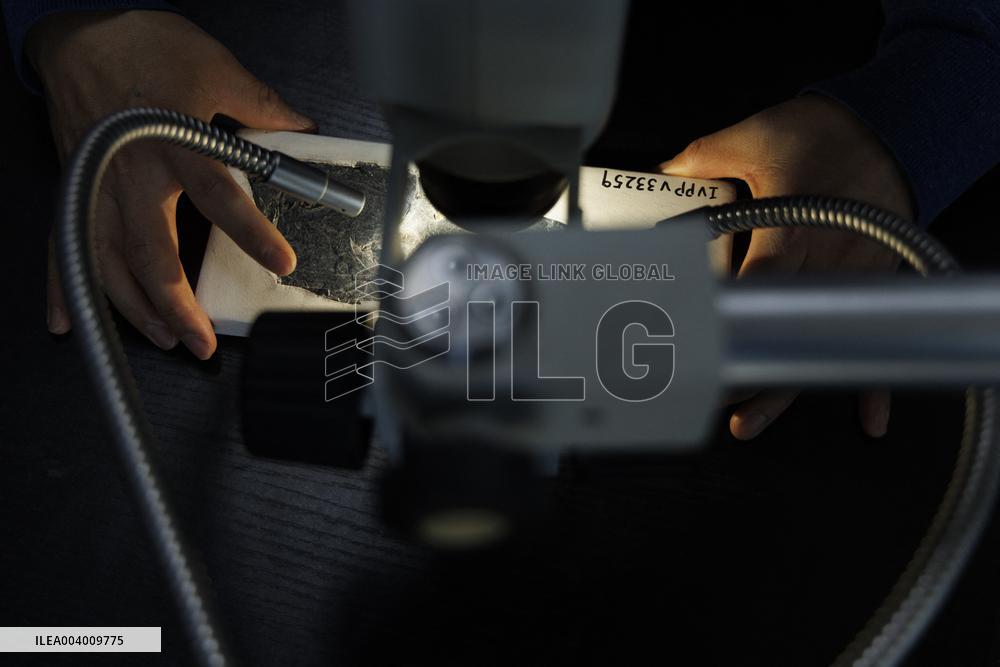 The Oldest Short-Tailed Bird Fossil Discovered - China