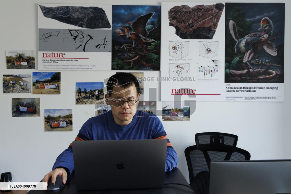 The Oldest Short-Tailed Bird Fossil Discovered - China