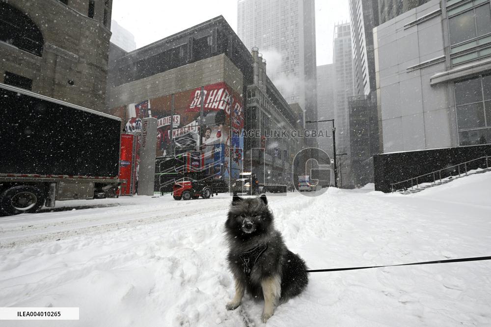 Jääkiekko: Ennakkotunnelmia Leijonista ennen neljän maan turnausta