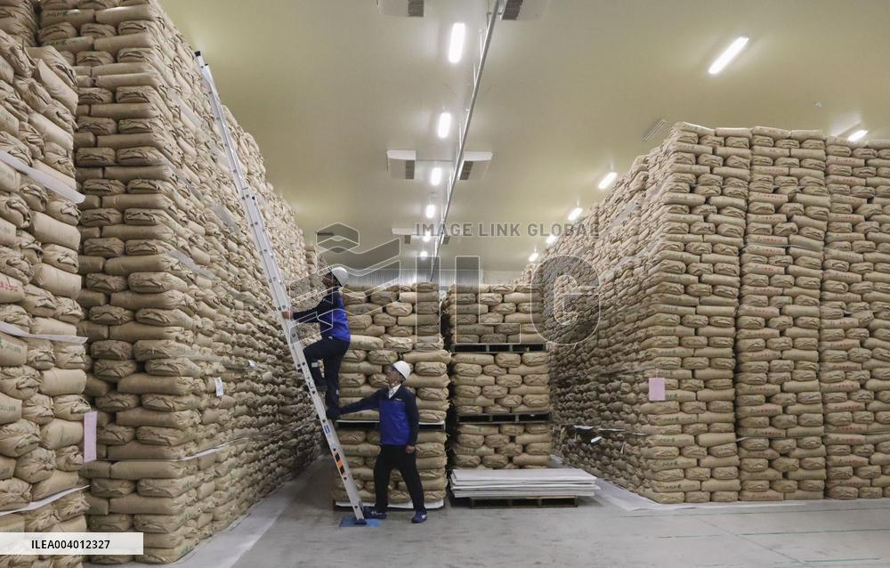 Japan's rice reserves