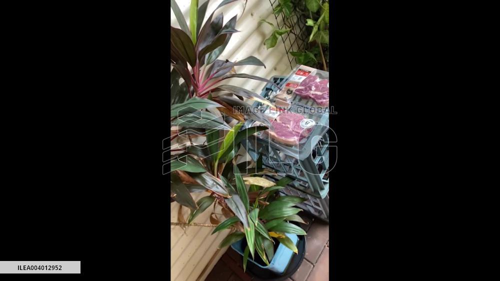 Australia: Tropical Cyclone Zelia Brings Damaging Winds To Western Australia 3