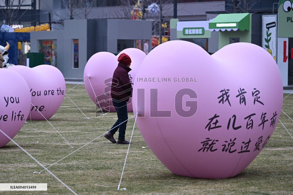 Valentine's Day Celebrate in Nanjing
