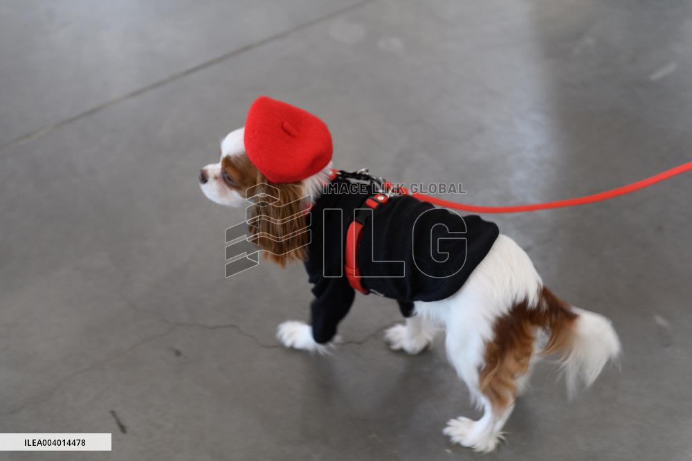 Ukrainian Fashion Week FW25-26 starts in Kyiv