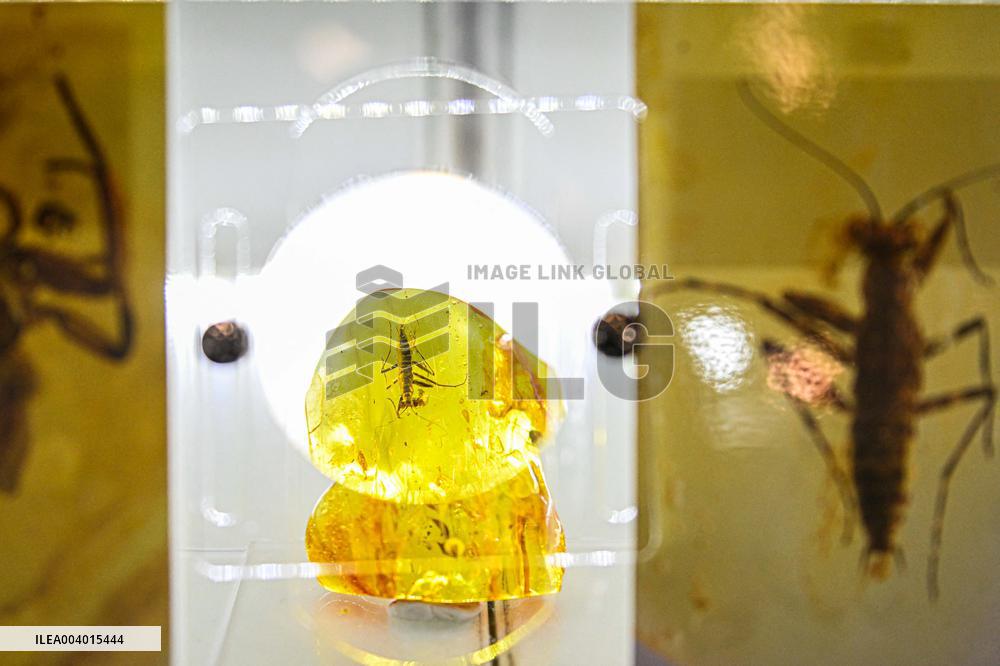 21st International Baltic Jewelry Show - Vilnius