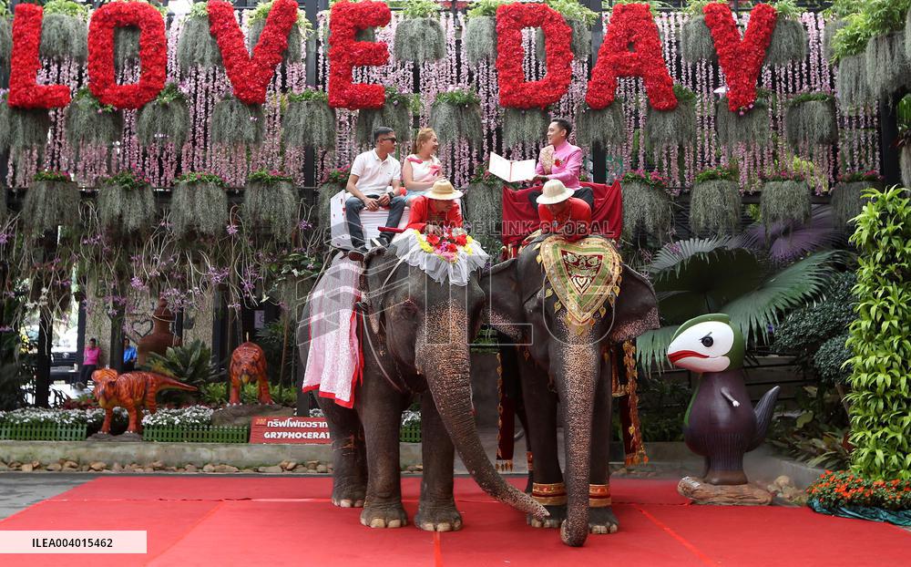 Wedding Ceremony With Elephants - Thailand