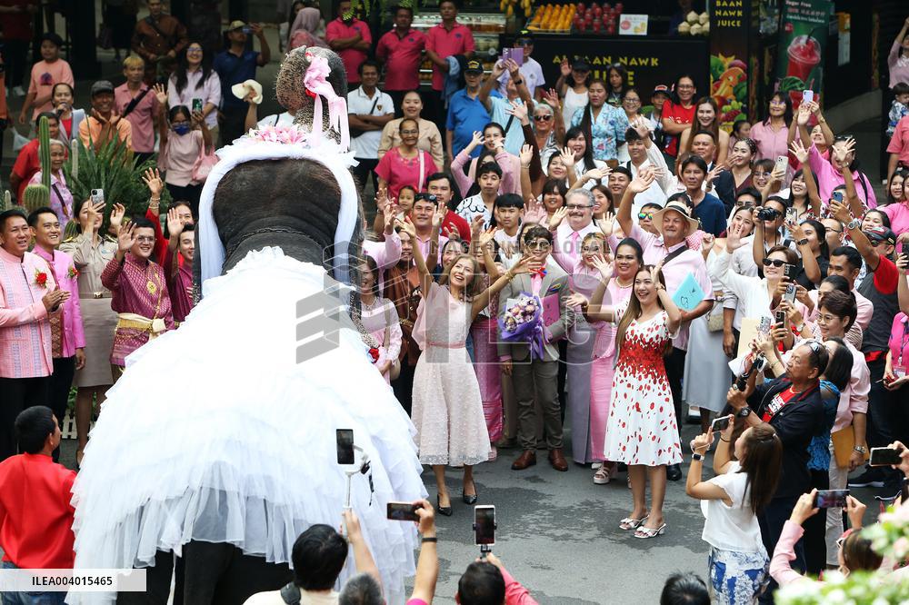 Wedding Ceremony With Elephants - Thailand