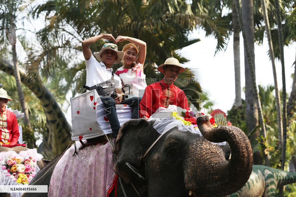 Wedding Ceremony With Elephants - Thailand
