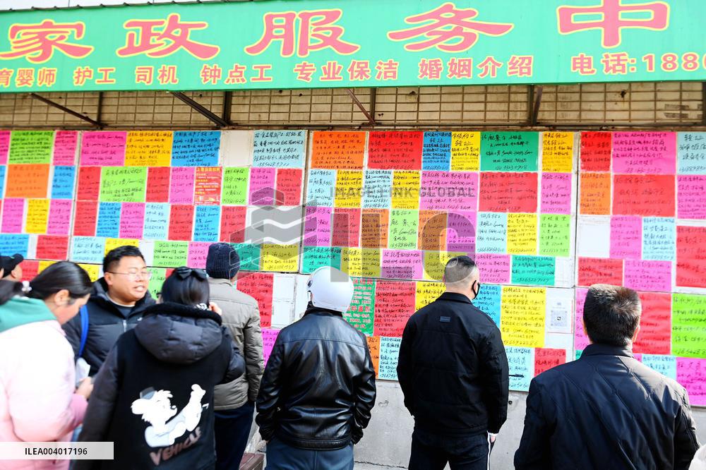 Migrant Labor Market in Qingdao