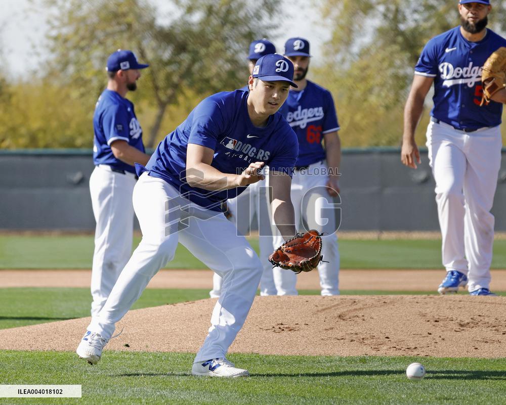 Baseball: MLB spring training
