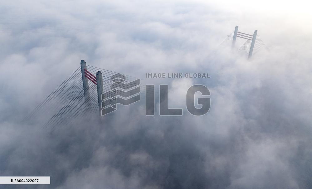 Heavy Fog Hit Shanghai Port