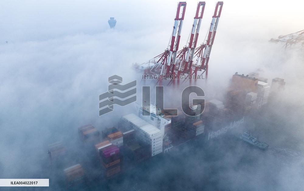 Heavy Fog Hit Shanghai Port