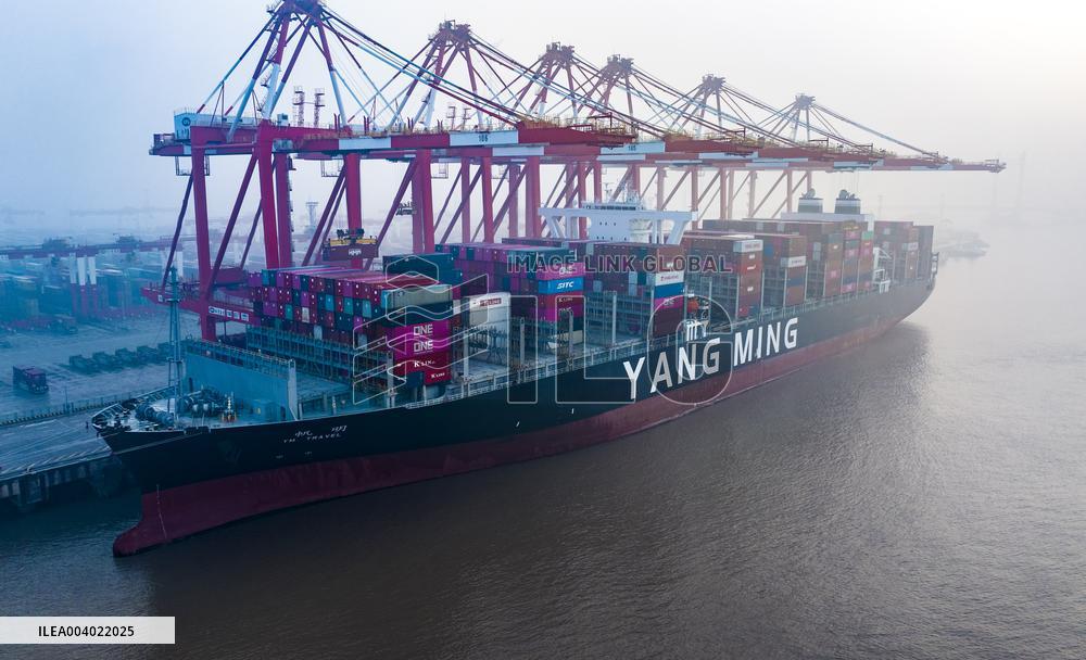 Shanghai Port Container Trade