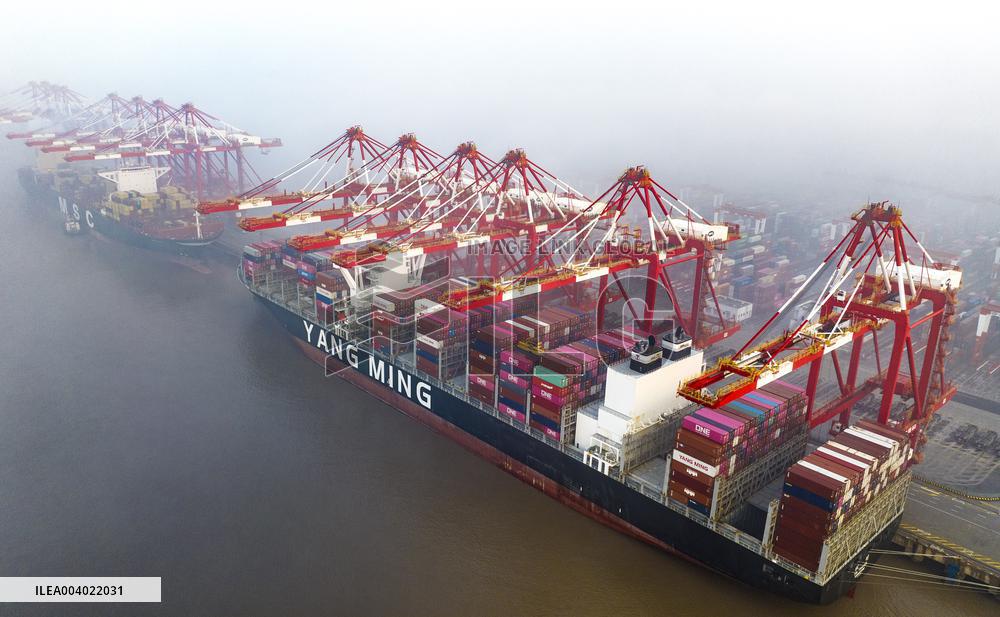 Shanghai Port Container Trade