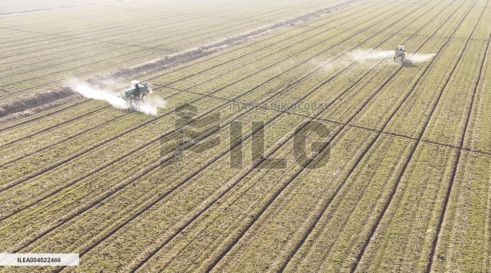 Farming