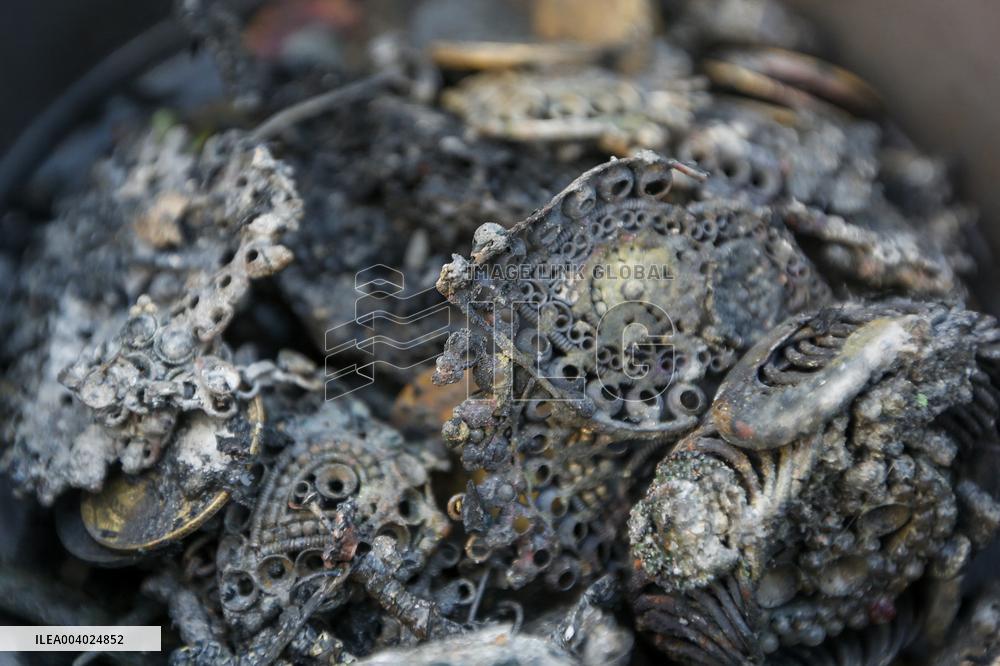 Fire Breaks Out In Dhaka