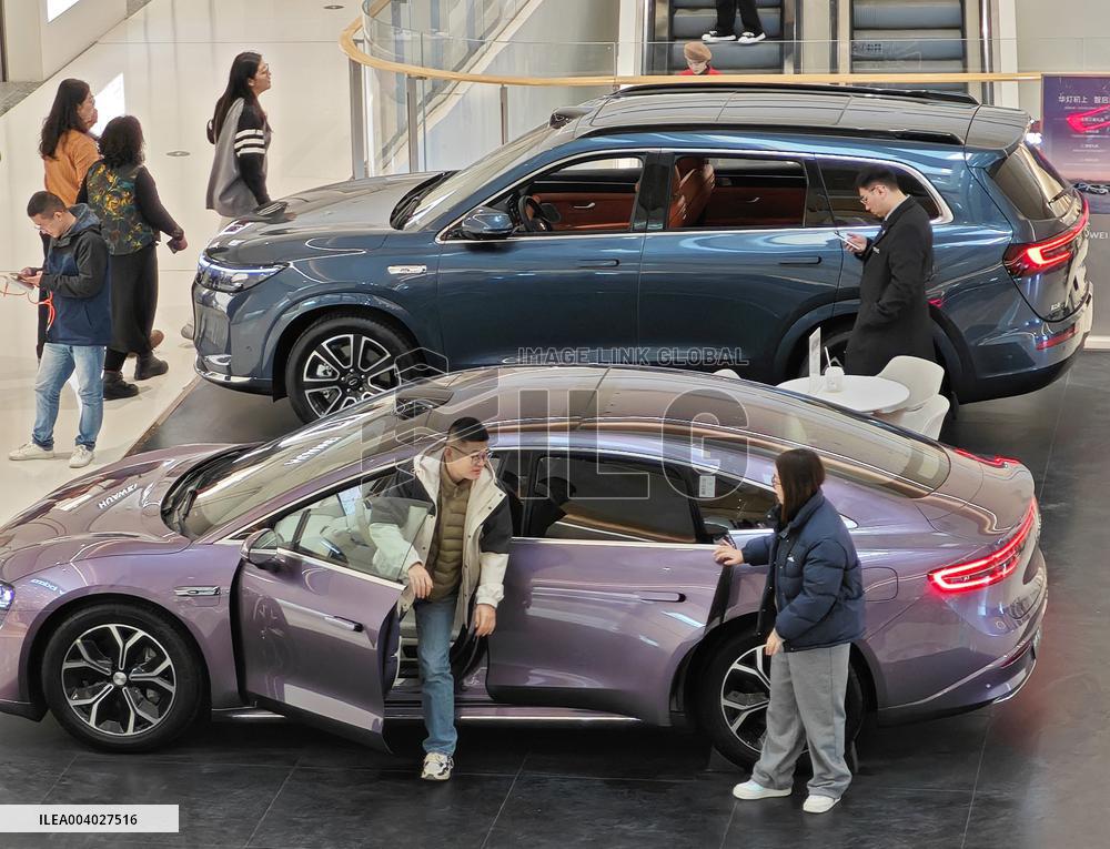 Chinese New Energy Vehicles