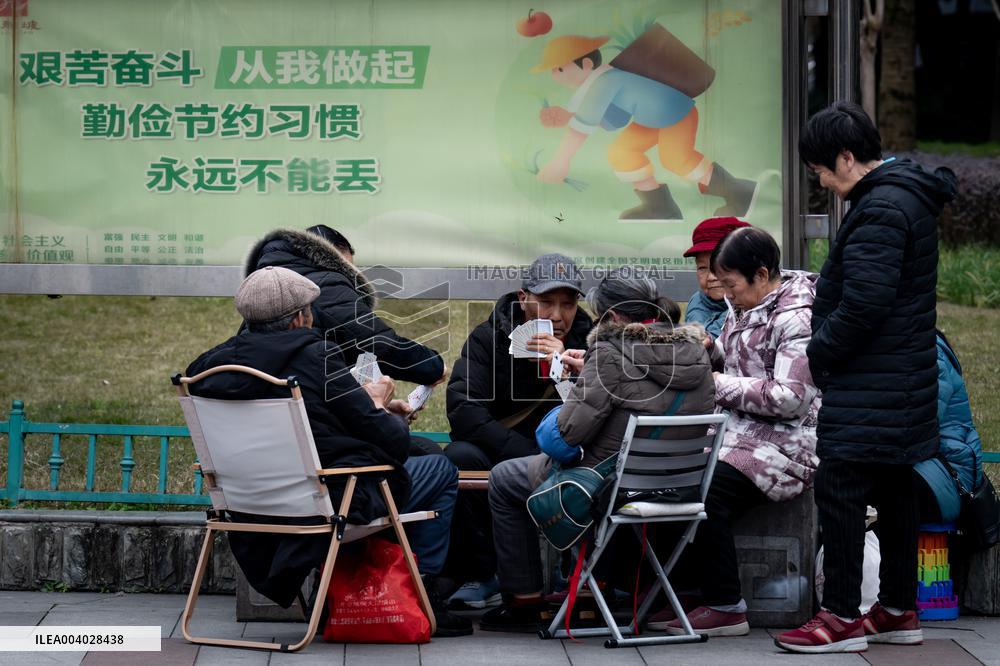 Chinese Elderly Population