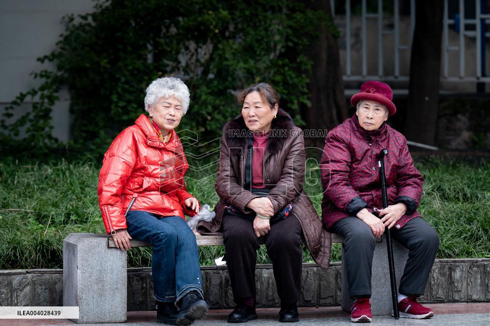 Chinese Elderly Population