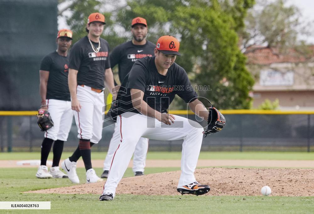 Baseball: MLB spring training