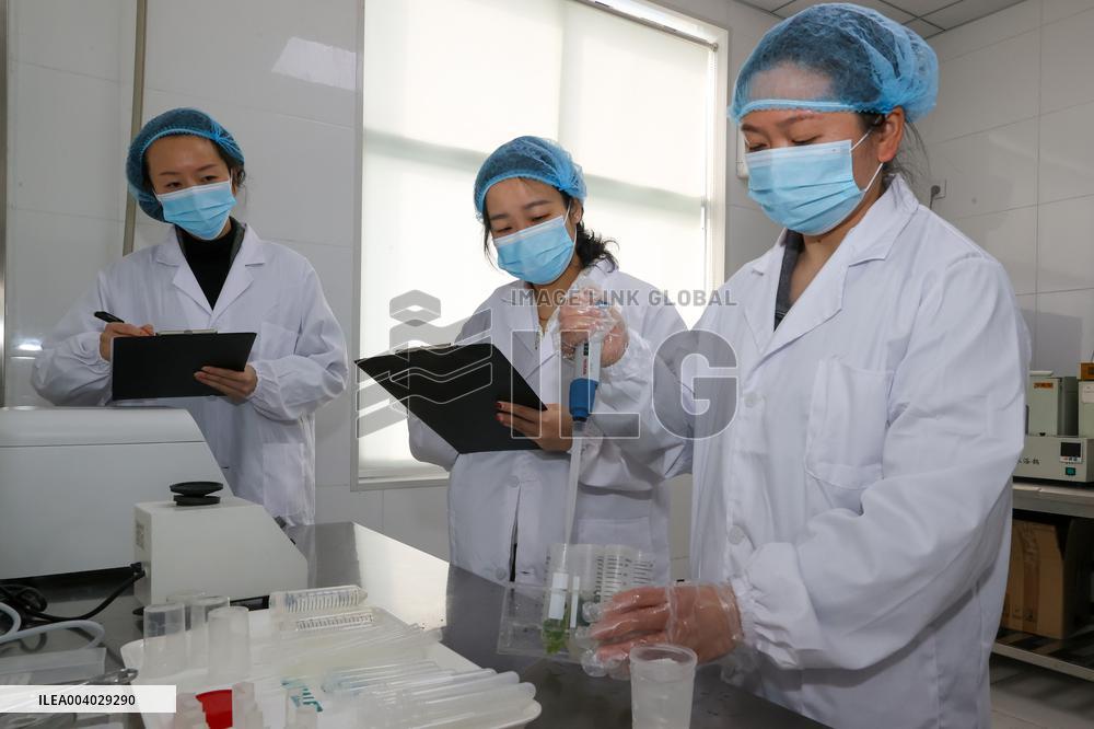 Campus Meal Food Safety