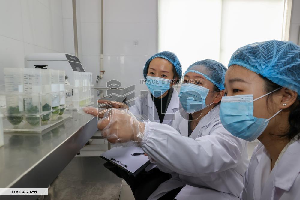 Campus Meal Food Safety