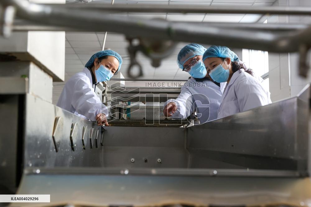 Campus Meal Food Safety