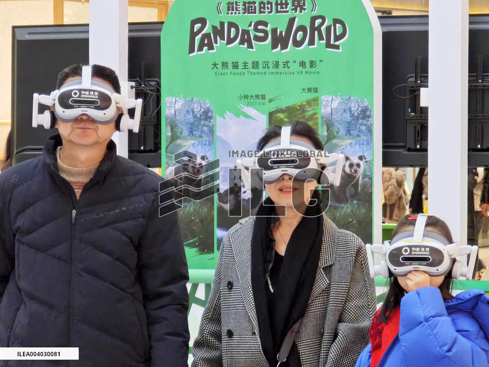 Global XR Device Shipments Decline in 2024