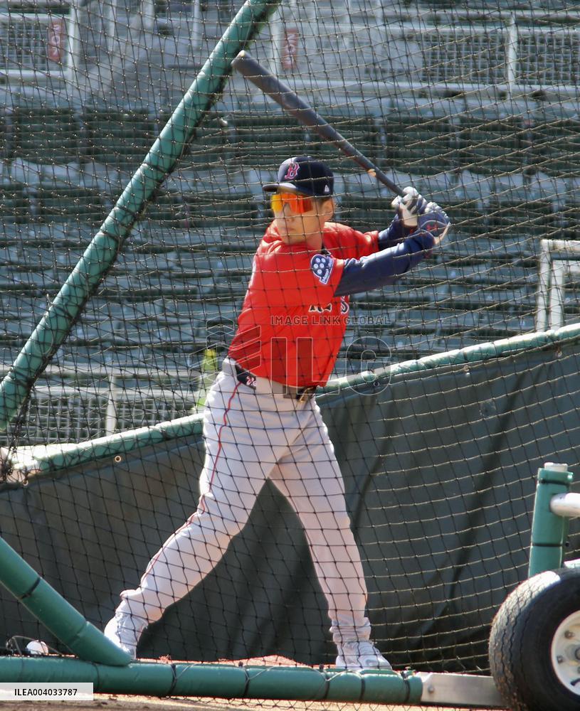 Baseball: MLB spring training