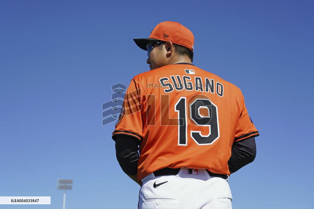 Baseball: MLB spring training