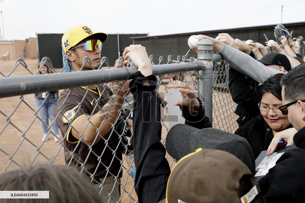 Baseball: MLB spring training