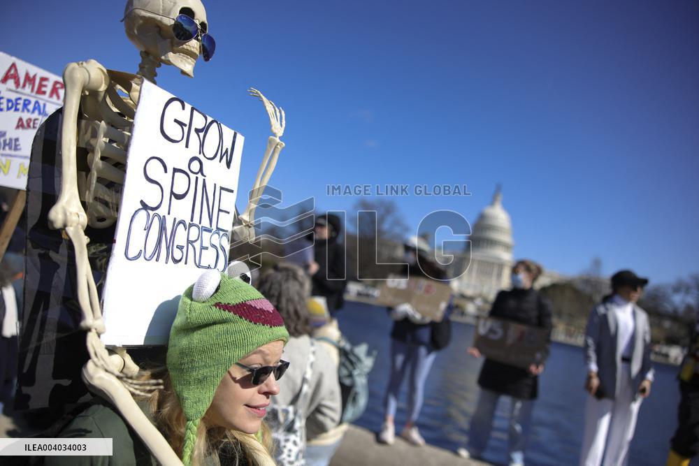 Anti-Trump Protest - DC