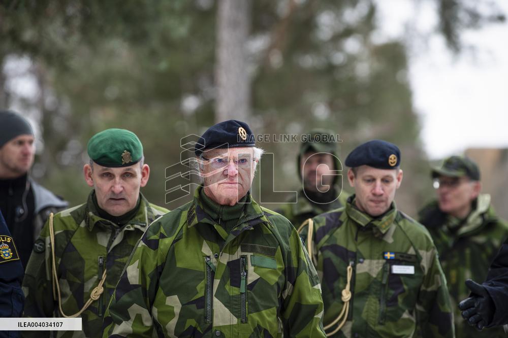 THE KING OF THE DEFENSE EXERCISE BIRGER JARL