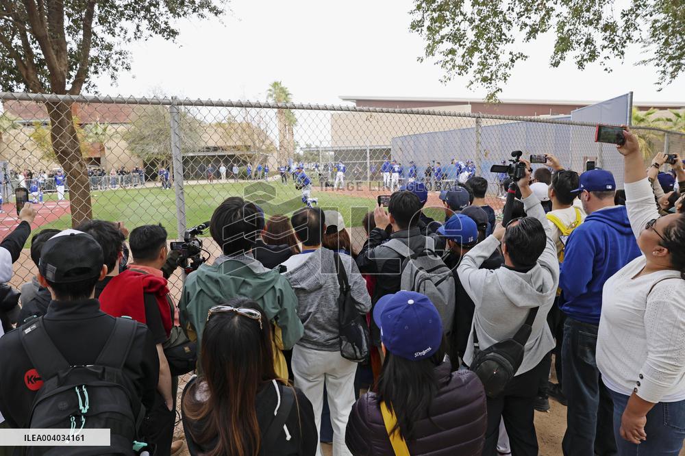 Baseball: MLB spring training