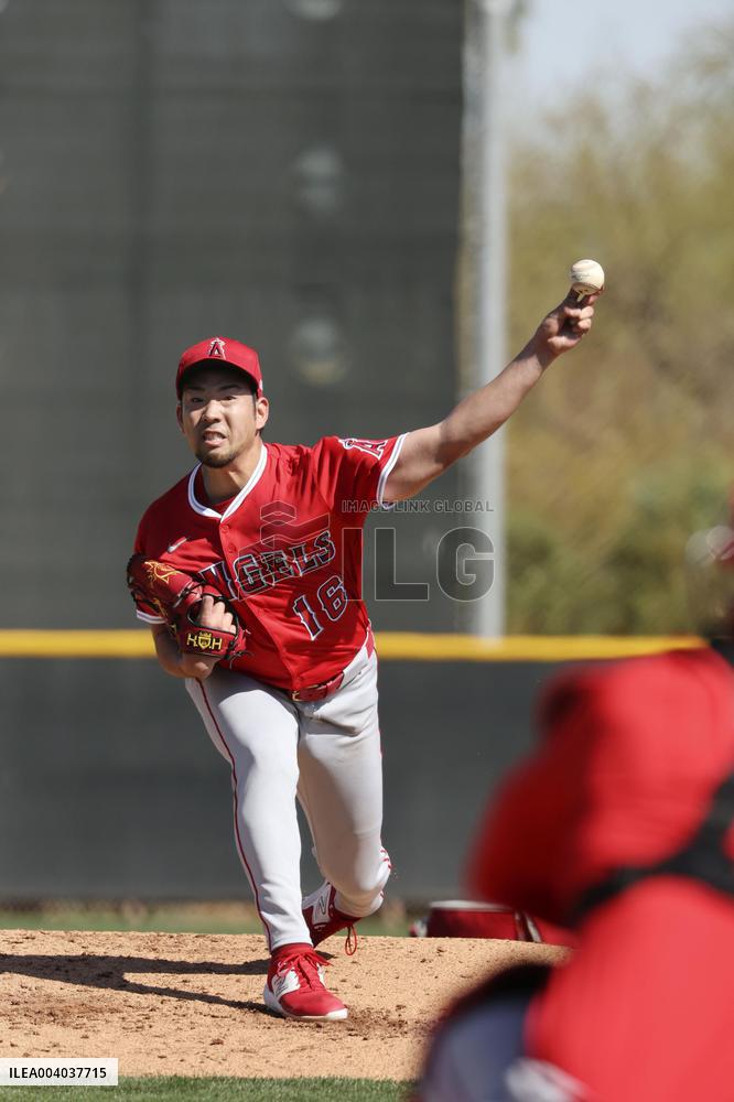 Baseball: MLB spring training