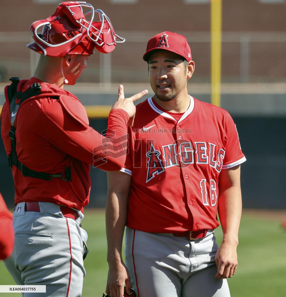 Baseball: MLB spring training