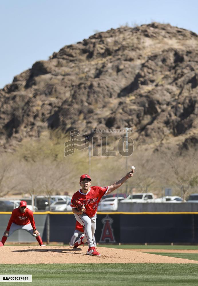 Baseball: MLB spring training